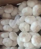 Čisti bijeli češnjak Novi usjevi Reefered Store Mesh Bage Carton Box Pack Utovar u Južnu Ameriku