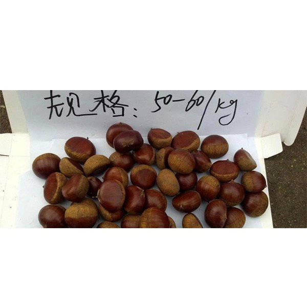 src=http___dimg.52bjw.cn_image_upload_05_e1_bb_06_05e1bb0647fea9dfdff89cc3b6c454dc.jpg&refer=http___dimg.52bjw